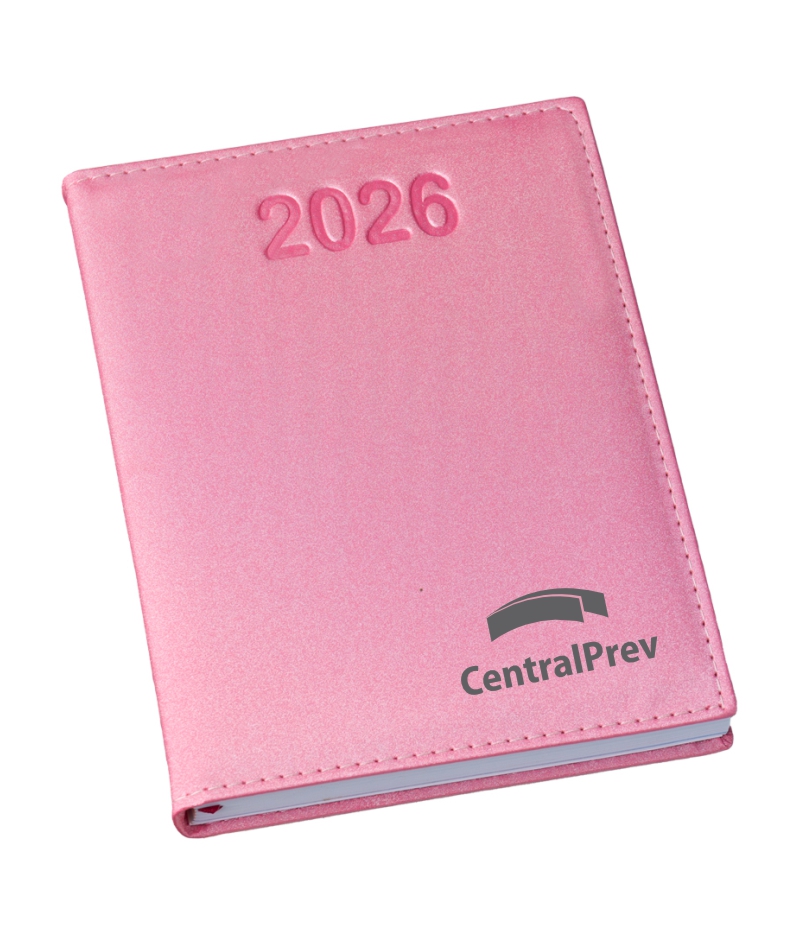 Agenda Diária Brochura - Metalizada - Imagem 9