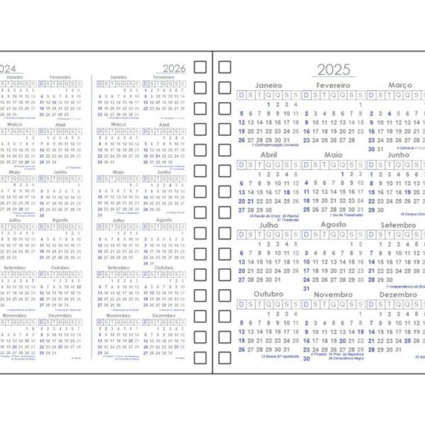 Miolo Agenda 2025 - Image 3